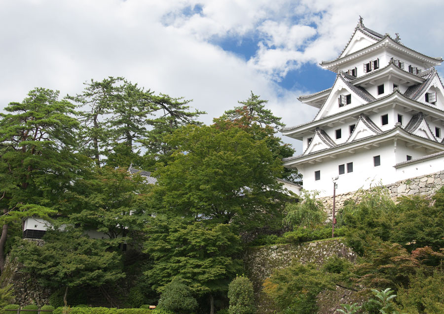 八幡藩<郡上藩>/青山家4万8千石:青山幸宜 新政府軍に恭順しながら凌霜隊を会津へ派兵した郡上藩【幕末維新写真館】