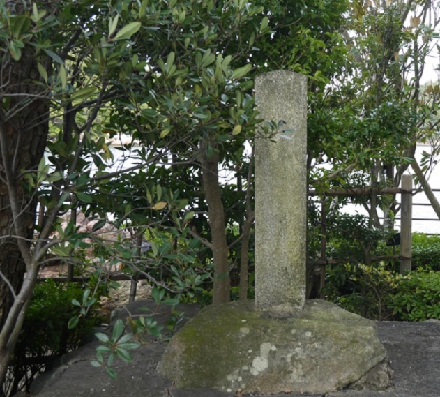 堀江藩/大沢家1万石:大沢基寿 明治維新のどさくさに紛れて諸侯に列した高家出身の堀江藩【幕末維新写真館】