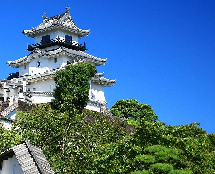 掛川藩/太田家5万石:太田資美 徳川家達の駿府70万石移封にて替地上総国柴山藩へ転封の上廃藩【幕末維新写真館】