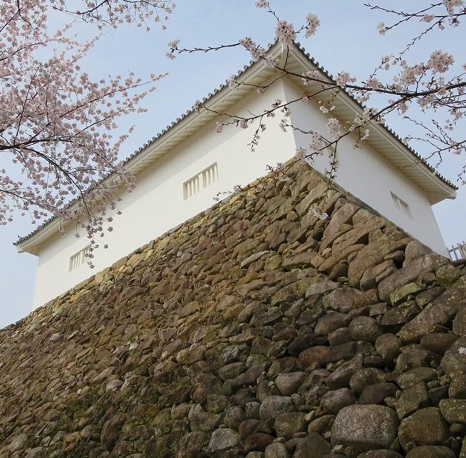 伊勢亀山藩/石川家6万石:石川成之 譜代大名のため佐幕派・尊皇派に割れた亀山藩【幕末維新写真館】