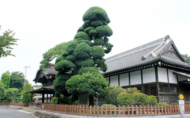 川越藩/松平家8万4千石:松平康載 新政府軍に恭順した川越藩【幕末維新写真館】