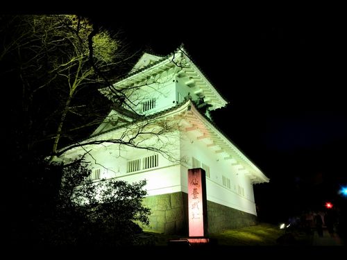 仙台藩/伊達家62万石:伊達義邦 戊辰戦争では奥羽越列藩同盟の盟主となった仙台藩【幕末維新写真館】