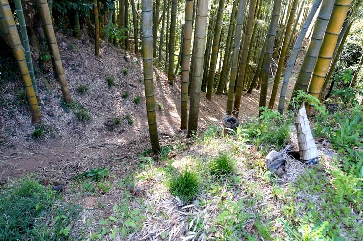 牛久藩/山口家1万石:山口弘達 戊辰戦争では恭順を示し藩主が上洛した牛久藩【幕末維新写真館】