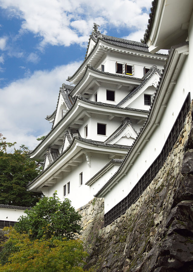 郡上八幡城:江戸藩邸の佐幕派が凌霜隊を結成し旧幕府軍として奮戦した郡上藩【お城 幕末写真館】